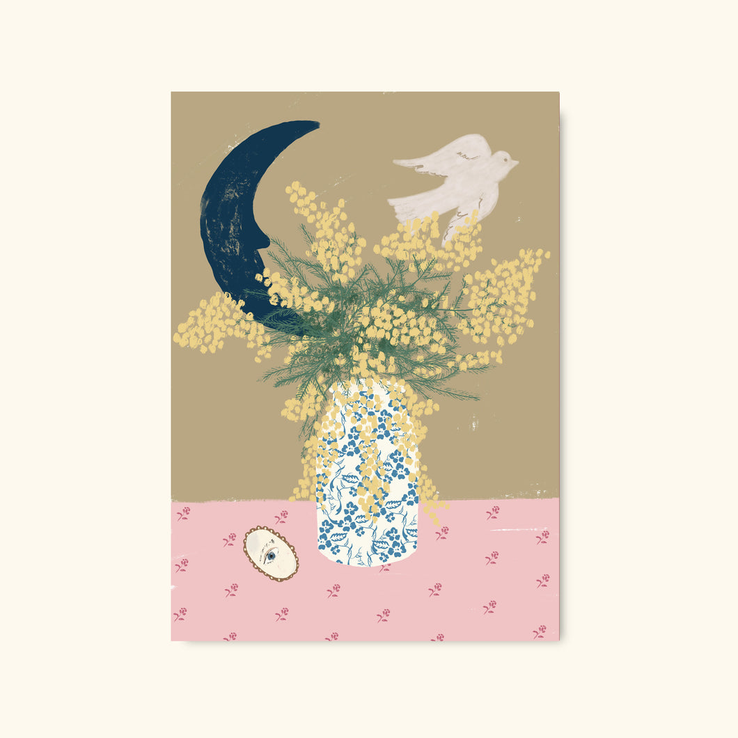 Moonlight Mimosa